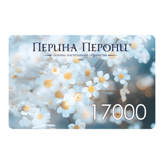 Подарочный сертификат 17000 рублей
