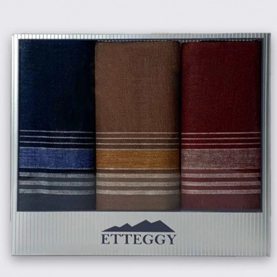 Набор мужских  носовых платков Подарочный "Etteggy"  PD68-1726 38*38 см-3 шт.