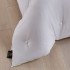 Одеяло "Onsilk" Шелк Classic всесезонное 2 спальное, 170*205 (±5) см