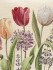 Декоративная наволочка "Гобелен" Тюльпаны моей любимой светлый фон 45*45 (±2) см