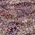 Комплект наволочек 2 шт. "Cotton Dreams" Valencia My Kingdom 70*70 см