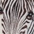 Декоративная наволочка "Гобелен" Милашка зебра Буба 45*45 (±2) см