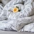 Постельное белье "Cotton Dreams" Premiata Mariella 1.5 спальный