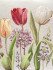 Декоративная наволочка "Гобелен" Тюльпаны моей любимой/серый фон 45*45 (±2) см