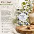 Аромасаше "Индокитай" Древесные ноты , Сандал 7 гр