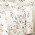 Постельное белье  Premiata Princesse Flower Евро